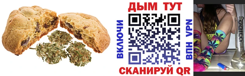 наркота  Заводоуковск  Canna-Cookies конопля 