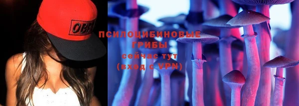 мяу мяу мука Абаза