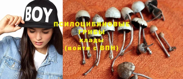 мяу мяу мука Абаза
