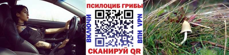 даркнет сайт  Заводоуковск  Псилоцибиновые грибы Cubensis 