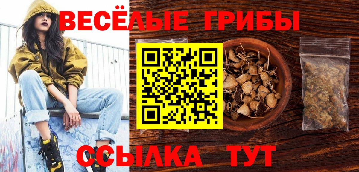 Галлюциногенные грибы ЛСД Заводоуковск