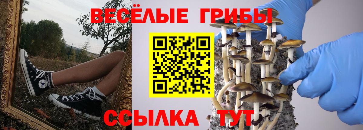 наркота  Галлюциногенные грибы ЛСД  Заводоуковск  Вход с VPN  Галлюциногенные грибы ЛСД 